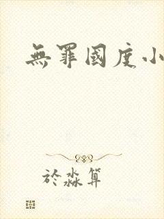 无罪国度小说