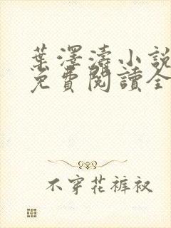 叶泽涛小说全文免费阅读全文