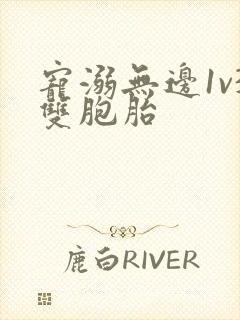 宠溺无边1v3双胞胎封面