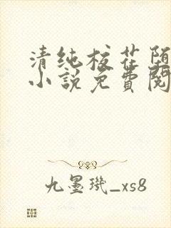 清纯校花堕落记小说免费阅读