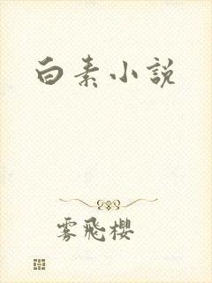 白素小说