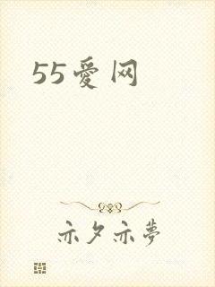 55爱网