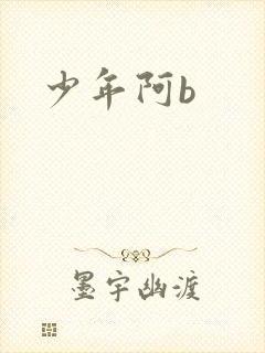 少年阿b封面