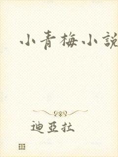 小青梅小说封面