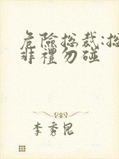 危险总裁:总裁非礼勿碰封面
