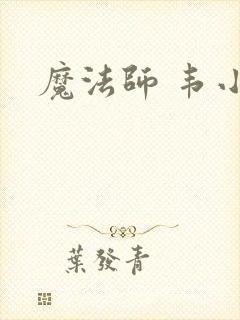 魔法师 韦小宝封面