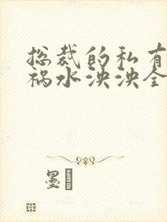 总裁的私有宝贝祸水泱泱全文阅读