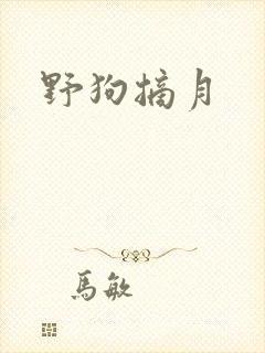 野狗摘月