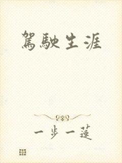 驾驶生涯