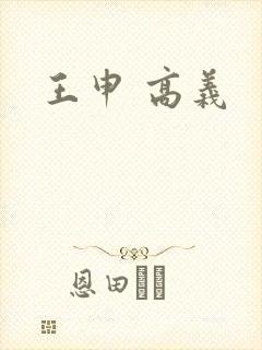 王申 高义