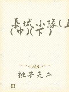 长城小队(上)(中)(下 )封面