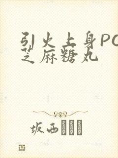 引火上身POP芝麻糖丸