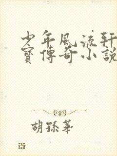 少年风流轩辕大宝传奇小说