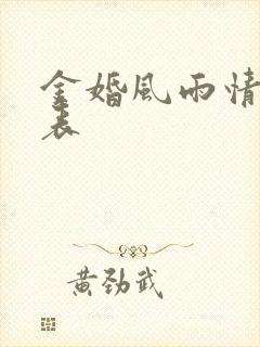 金婚风雨情演员表封面