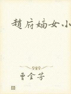 赵府嫡女小说封面