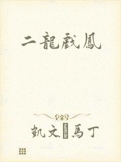 二龙戏凤