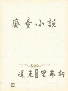 娈童小说封面