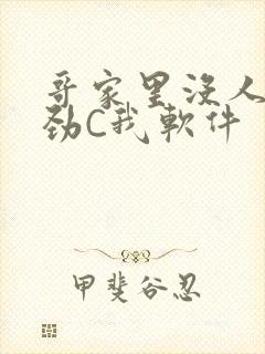 哥家里没人使点劲C我软件
