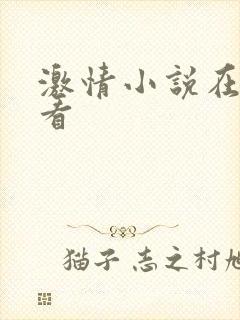 激情小说在线观看