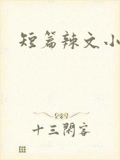 短篇辣文小说封面