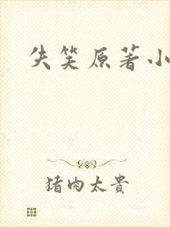 失笑原著小说