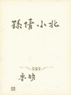 孙倩小北封面