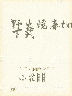 野火烧春txt下载