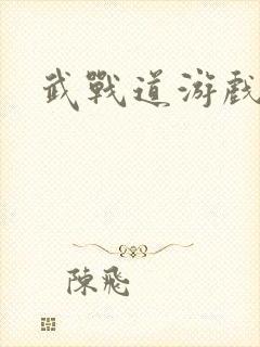 武战道游戏