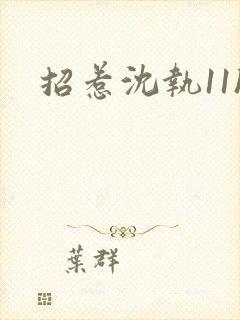 招惹沈执11h封面