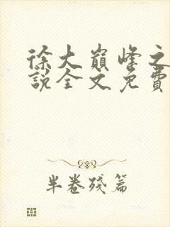 徐大巅峰之路小说全文免费阅读封面