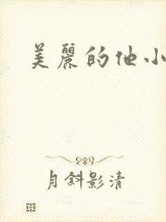 美丽的他小说