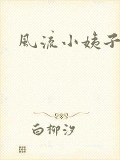 风流小姨子封面