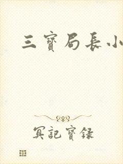 三宝局长小说