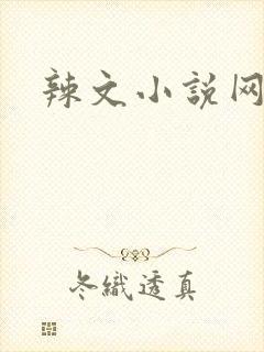 辣文小说网封面