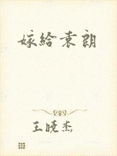 嫁给袁朗封面