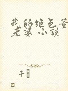 我的绝色董事长老婆 小说