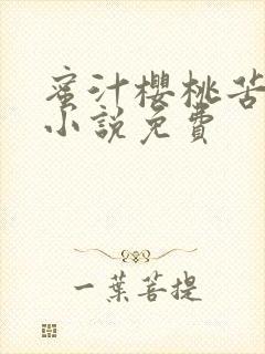 蜜汁樱桃苦咖啡小说免费封面
