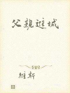 父亲进城封面