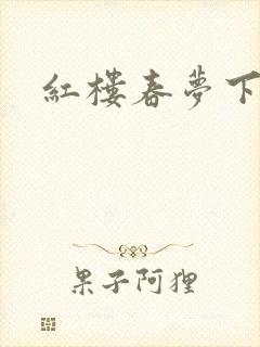 红楼春梦下载封面