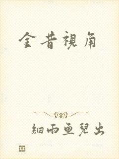 金昔视角封面
