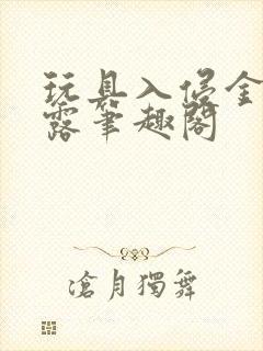 玩具入侵金银花露笔趣阁
