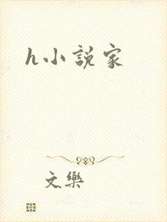 h小说家