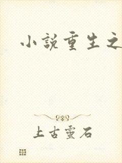 小说重生之官道