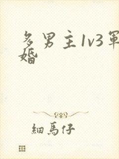 多男主1v3军婚