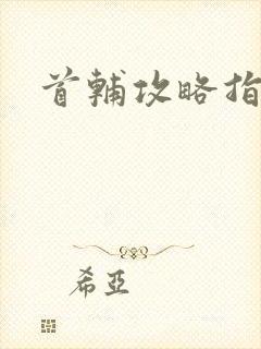 首辅攻略指南