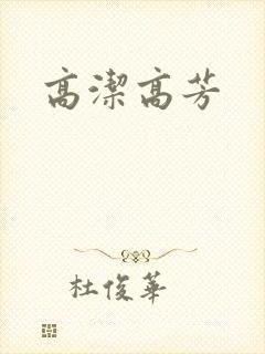 高洁高芳封面