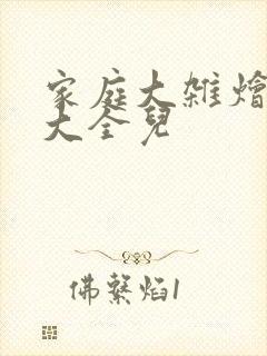 家庭大杂烩小说大全儿