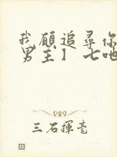 我愿追寻你【双男主】 七吔封面