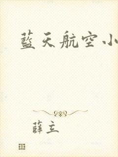 蓝天航空小说