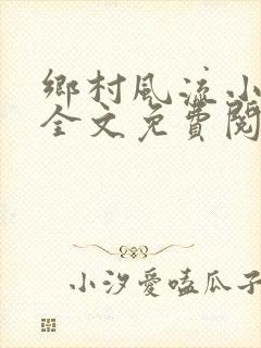乡村风流小傻子全文免费阅读封面